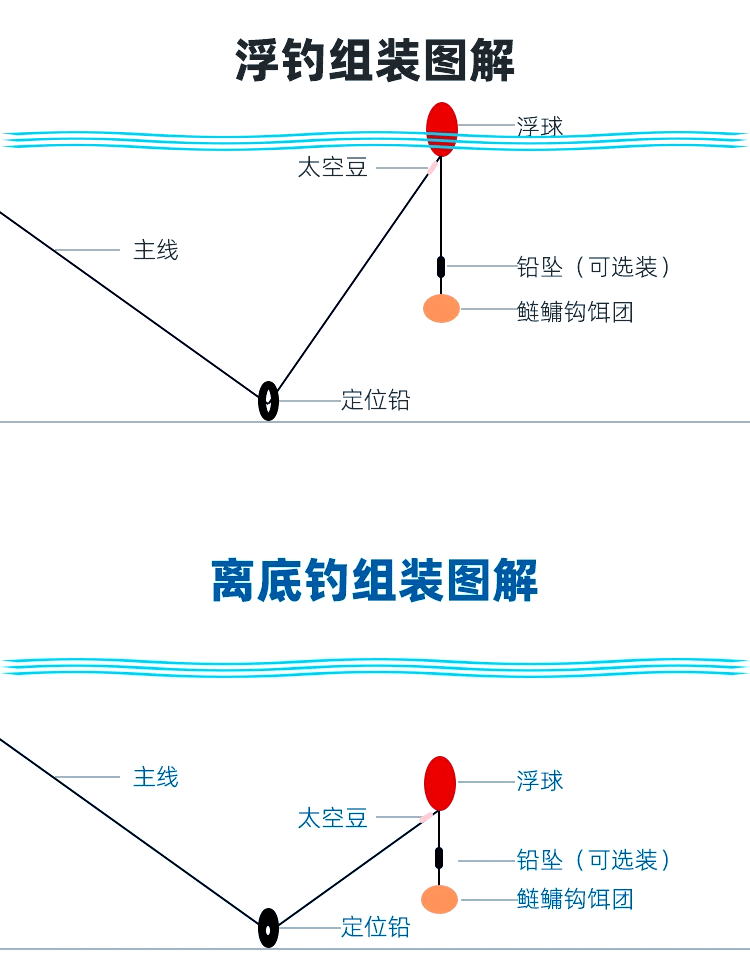 海钓螃蟹怎么绑线(海钓用螃蟹做饵怎样钩法)