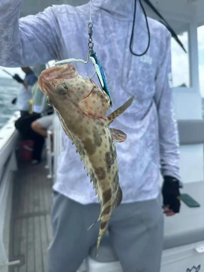 潍坊海钓鱼论坛(潍坊海钓鱼论坛最新消息)