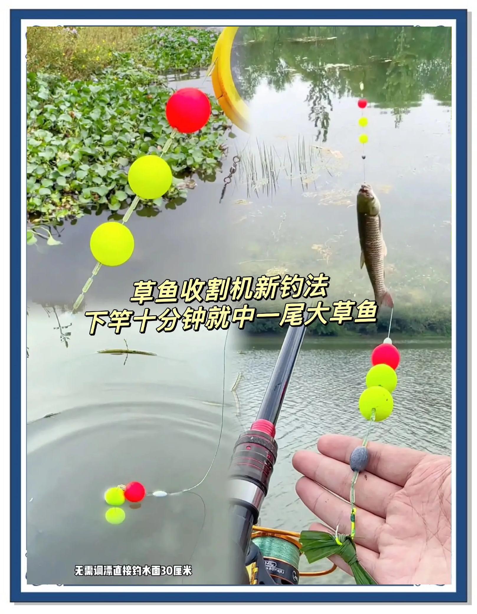 绿藻水库钓鱼技巧(绿藻水域怎么钓鱼)