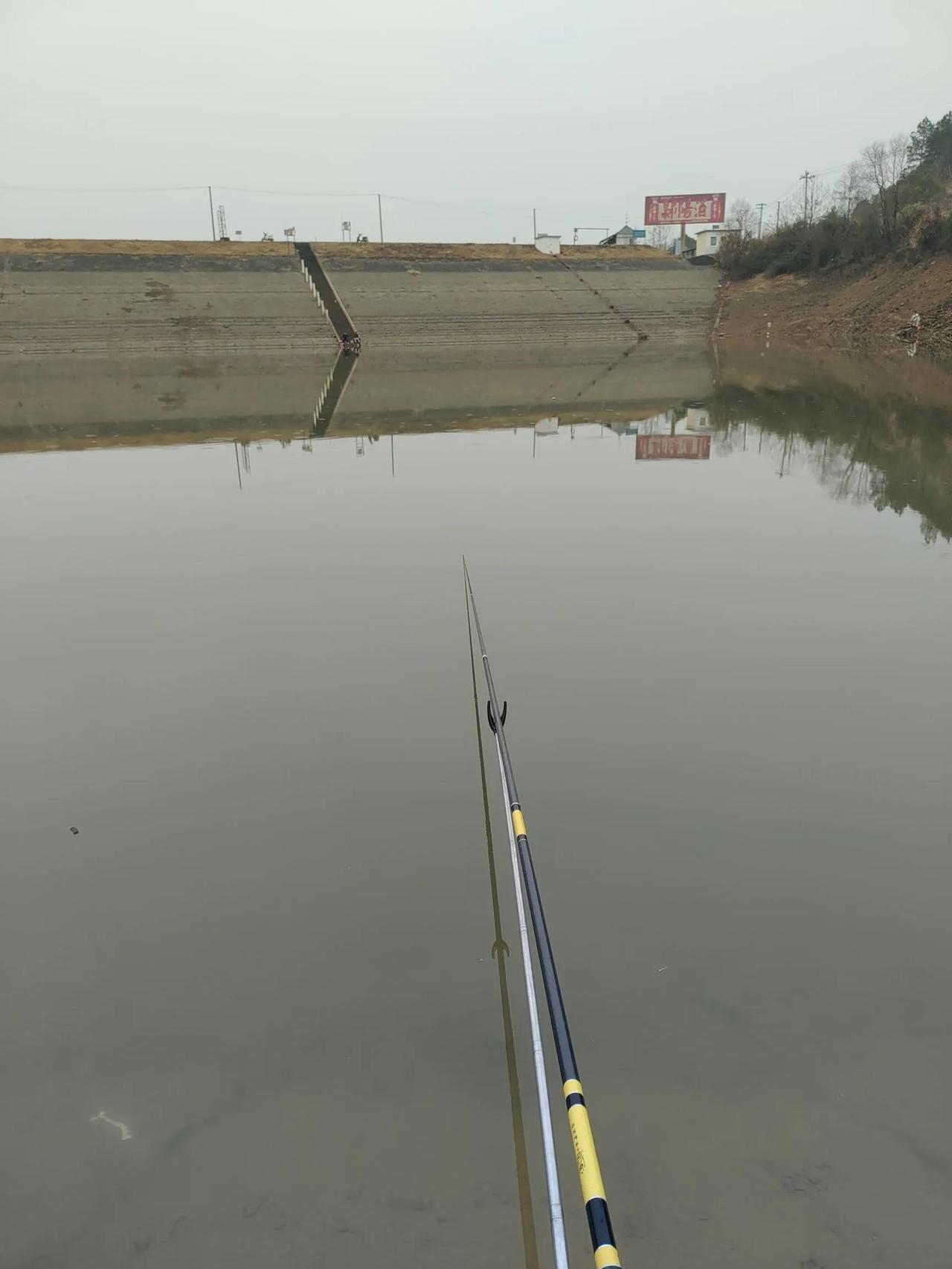 白露后野钓鱼技巧(白露后钓鱼钓深还是钓浅)