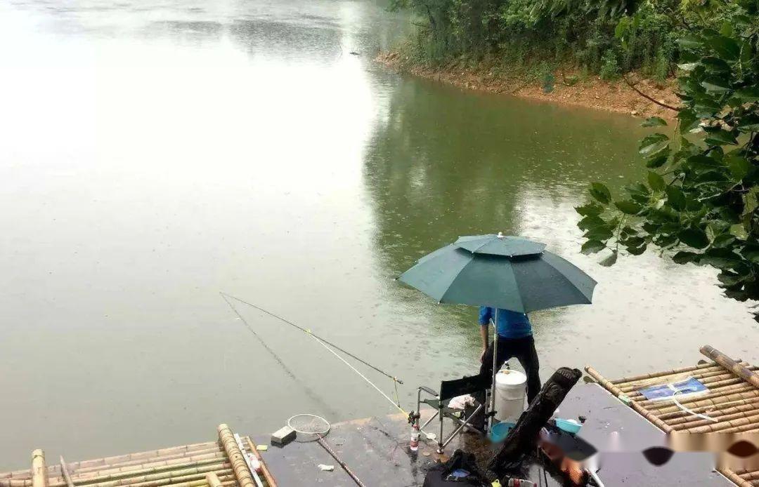 白露后野钓鱼技巧(白露后钓鱼钓深还是钓浅)