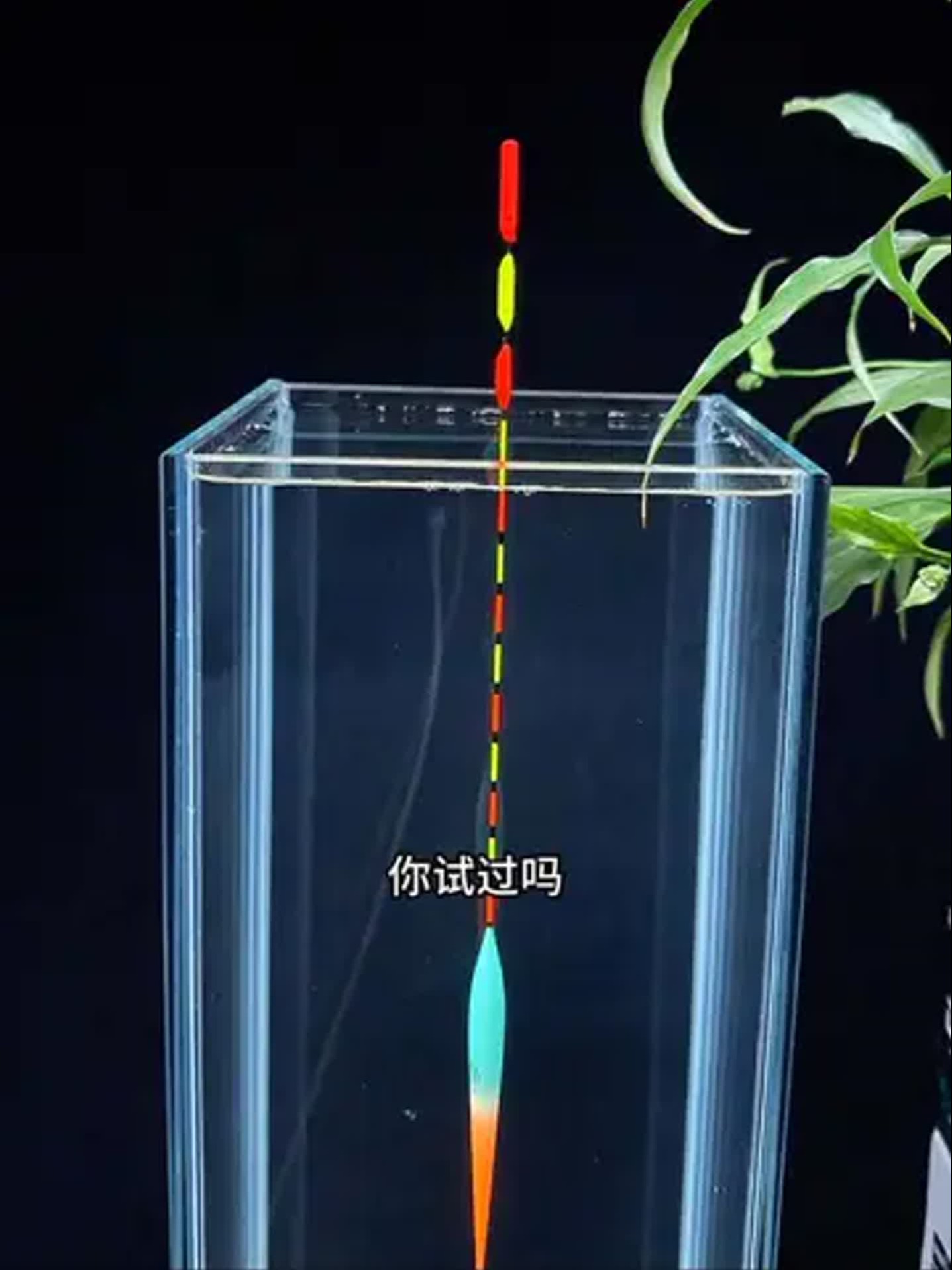 钓鱼捉口技巧(钓鱼捉口技巧视频)
