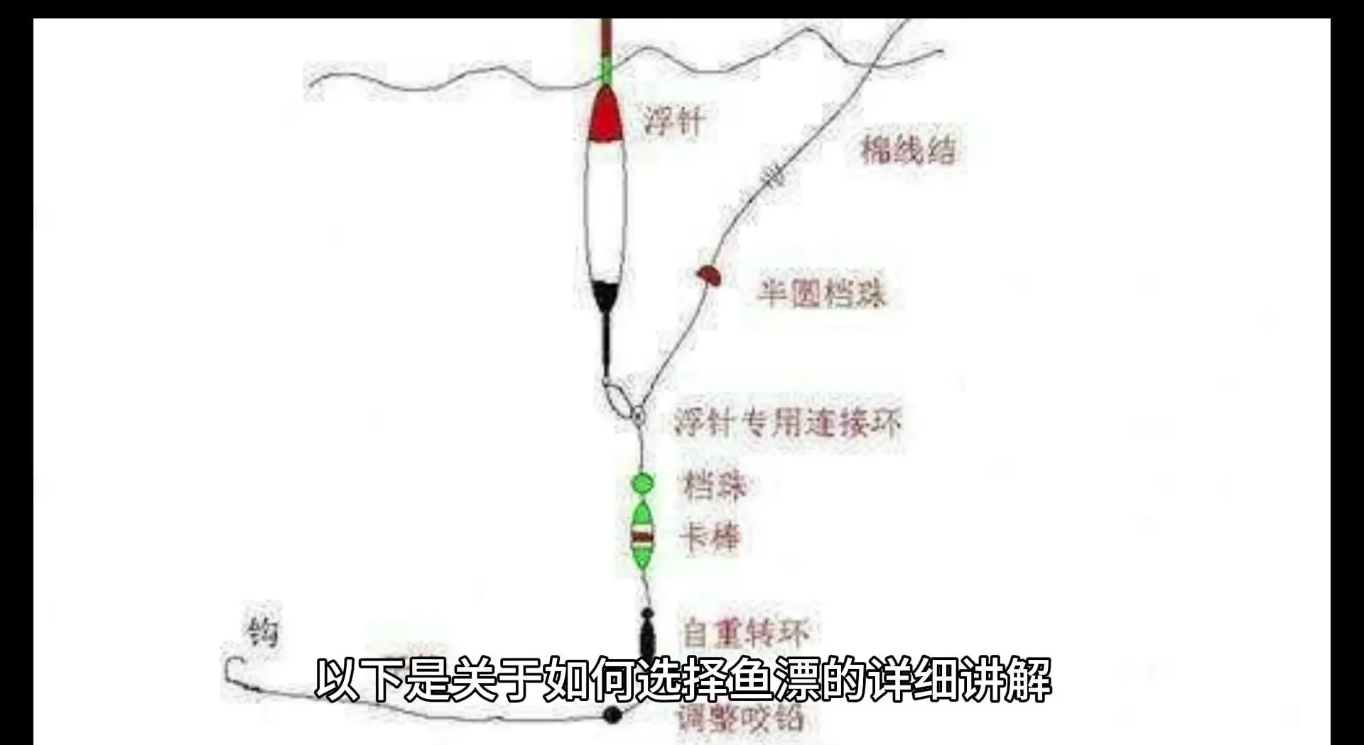 钓青鱼调浮漂技巧(正常钓青鱼调漂方法)