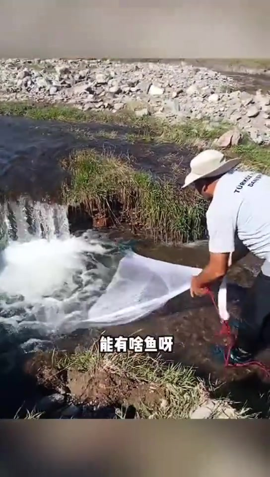 捕鱼抄鱼技巧(捕鱼抄鱼技巧图解)