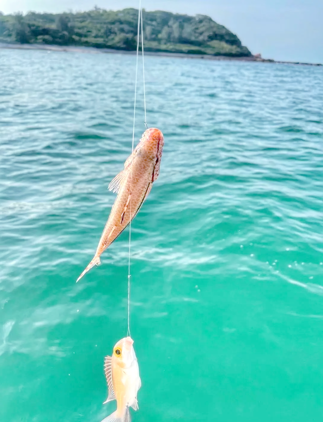 北海出海钓鱼相片(北海出海海钓怎么收费)