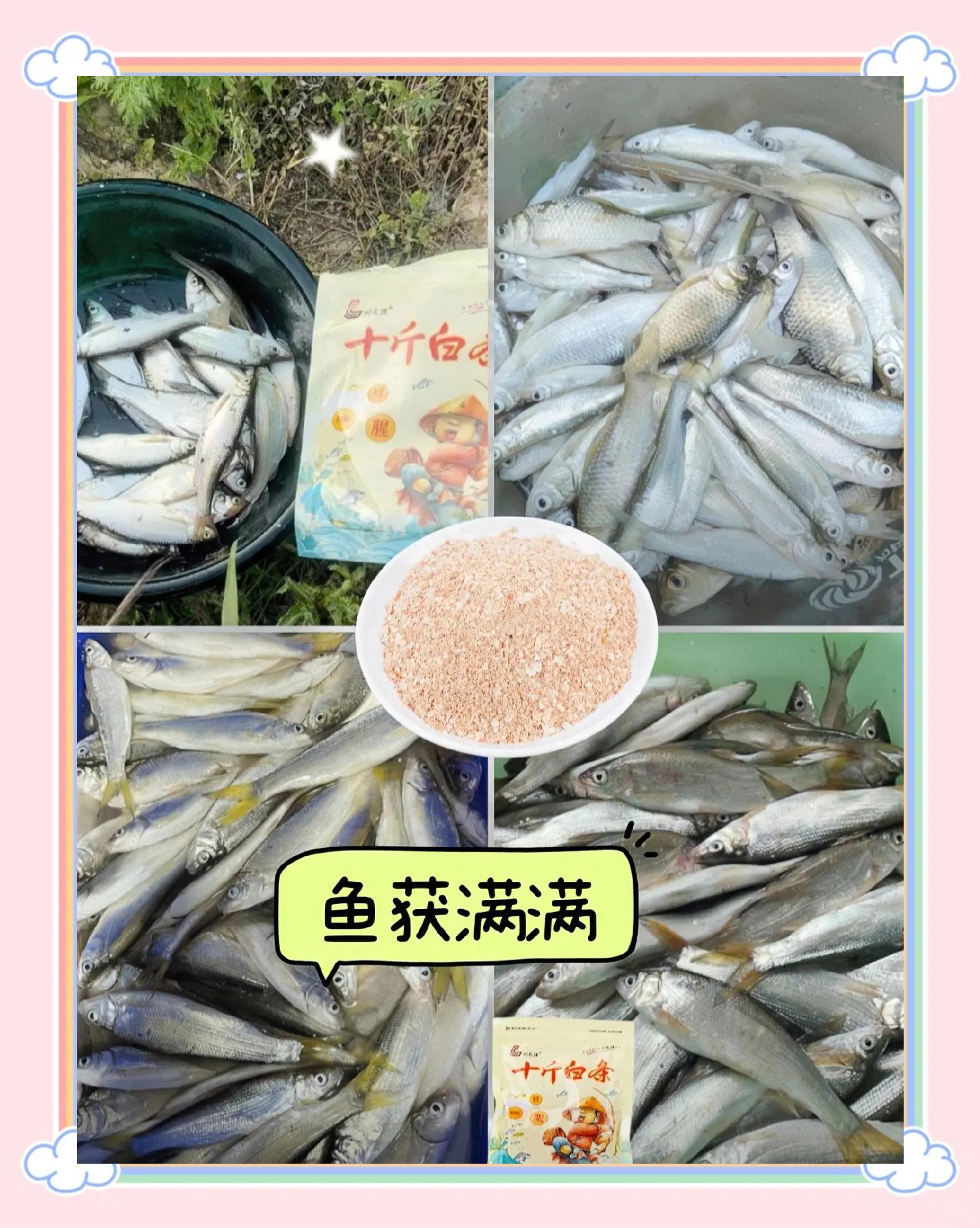 夏天白条饵料配方(夏天钓白条鱼用什么饵料最好)