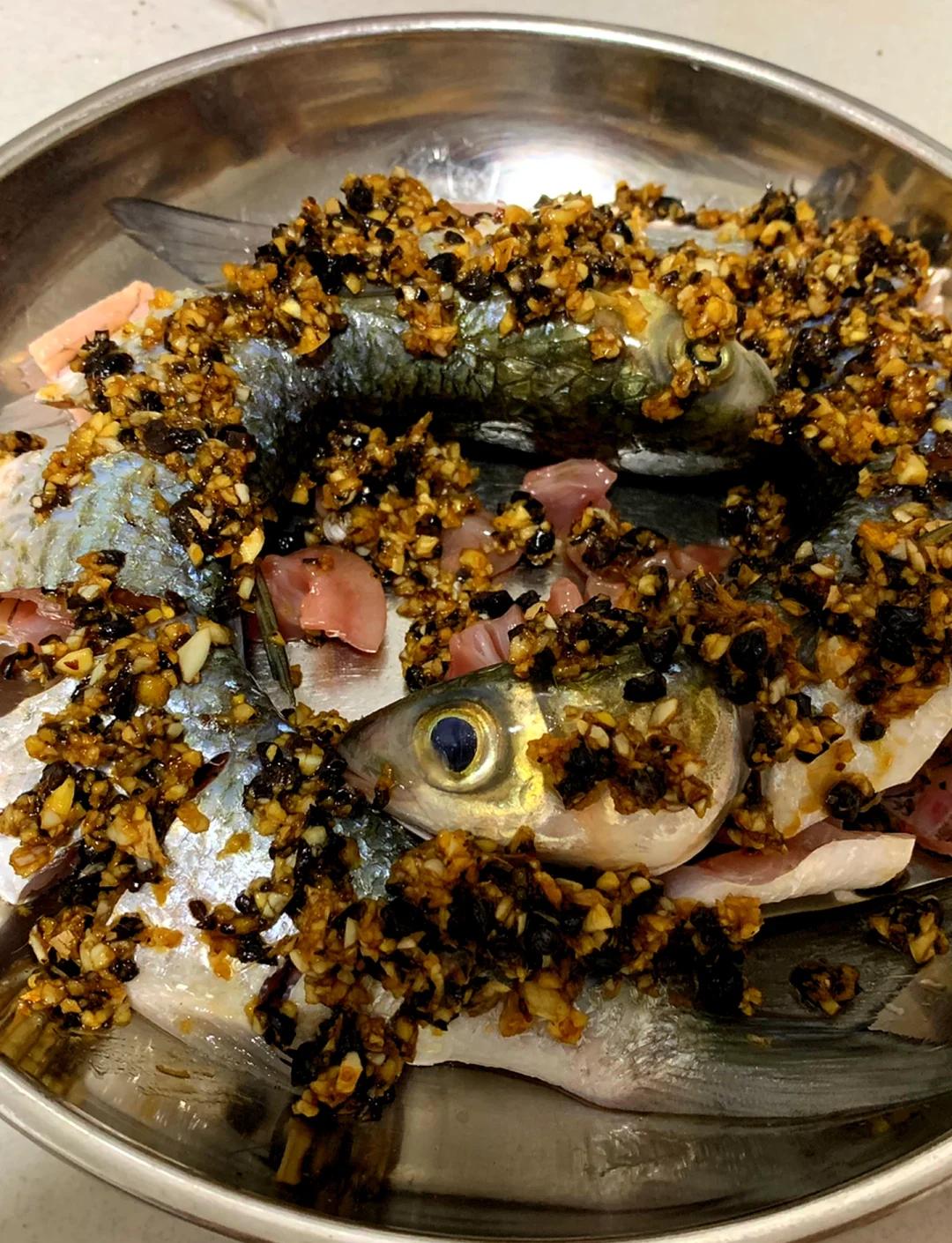 珠海钓乌头鱼6(广东钓乌头鱼视频)