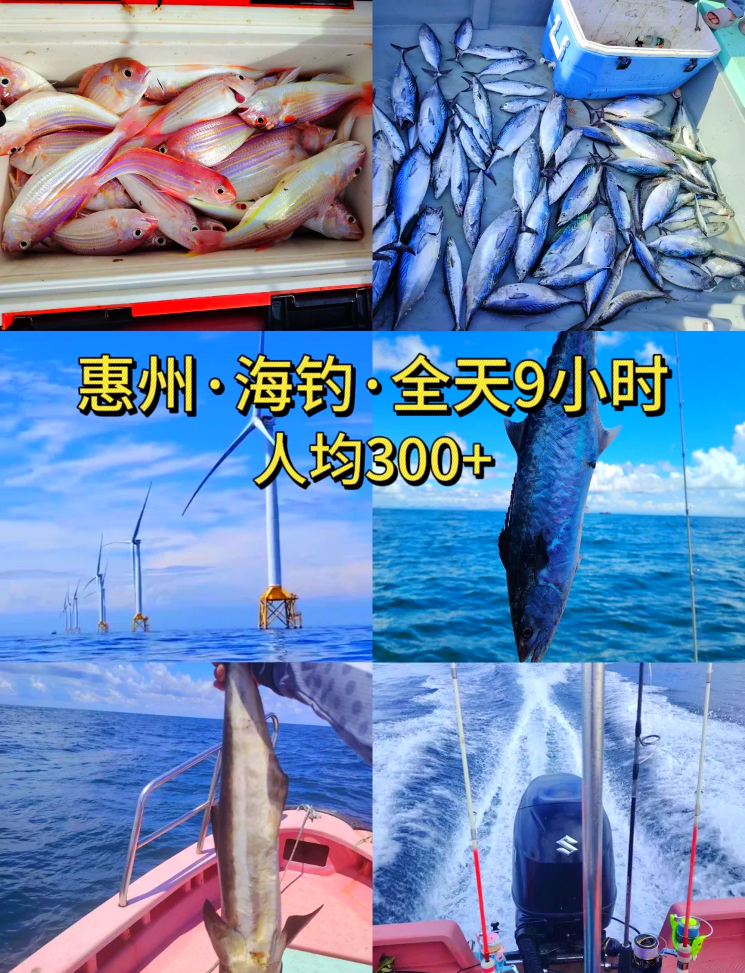 海钓鱼攻略(海钓 攻略)