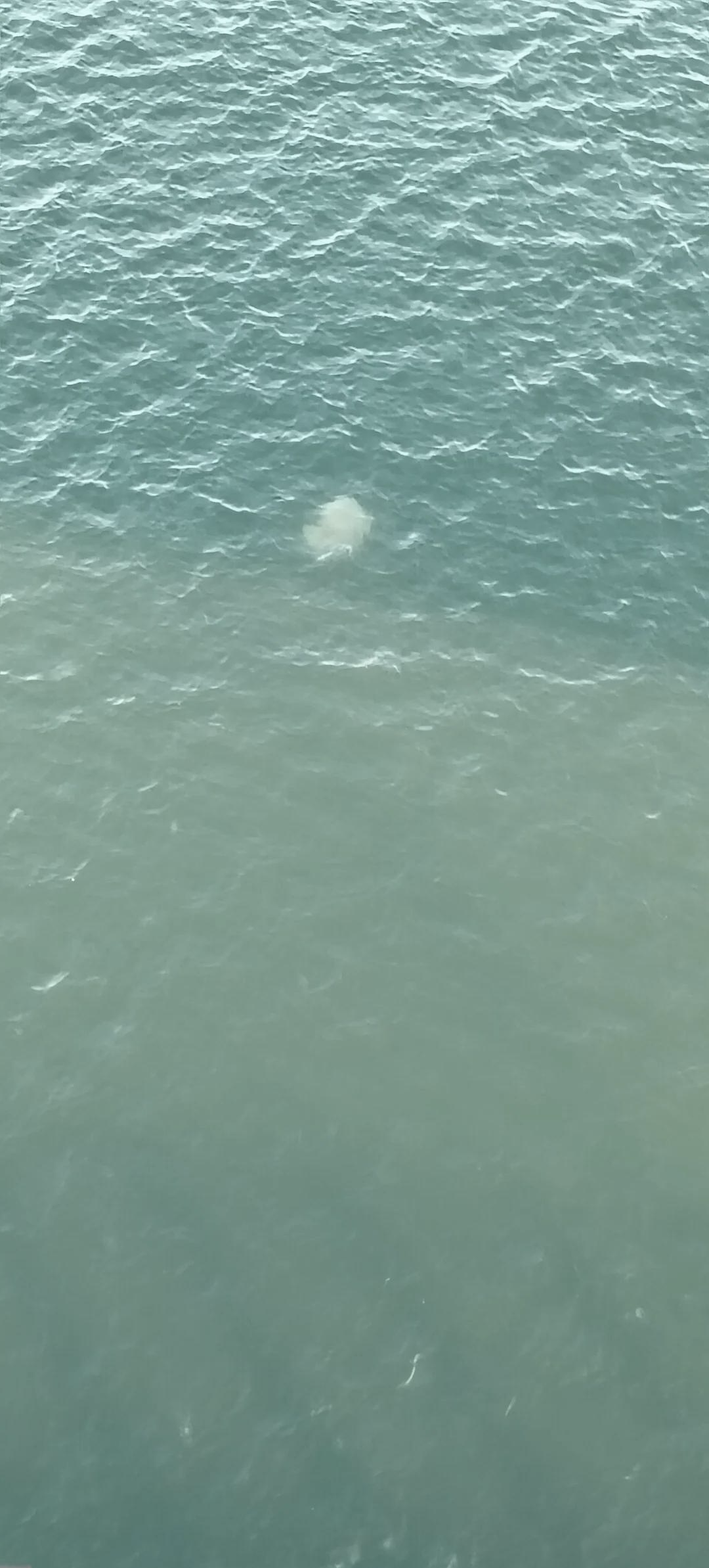 曹妃甸海钓地点(2021曹妃甸海钓钓点图)