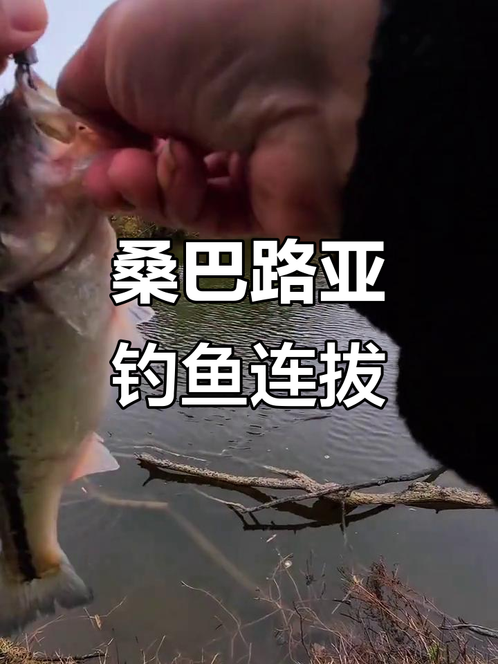 泥鳅拿什么饵料钓(泥鳅用什么诱饵最好)