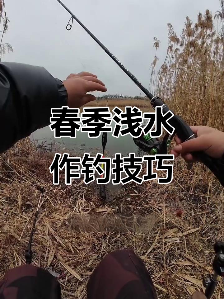 春季钓鱼技巧鲫鱼(春季钓鱼技巧鲫鱼视频)