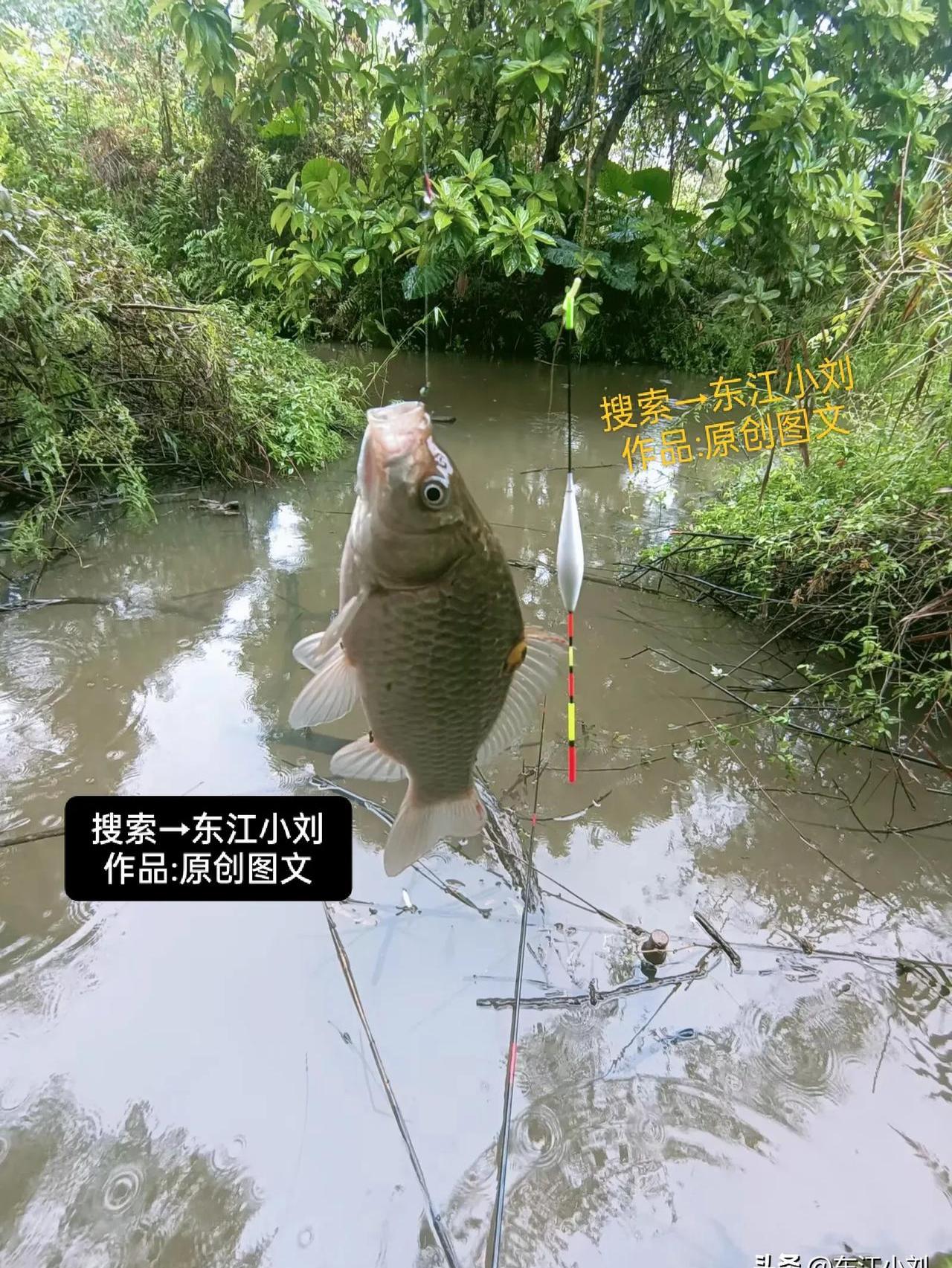水质好的地方钓鱼技巧(水质好的地方钓鱼技巧是什么)