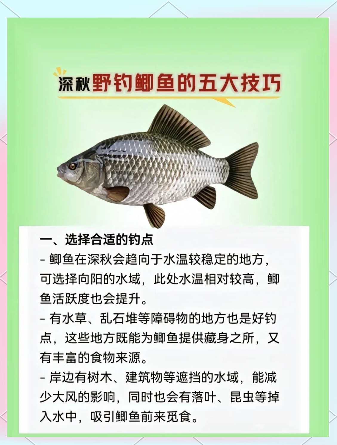 水质好的地方钓鱼技巧(水质好的地方钓鱼技巧是什么)