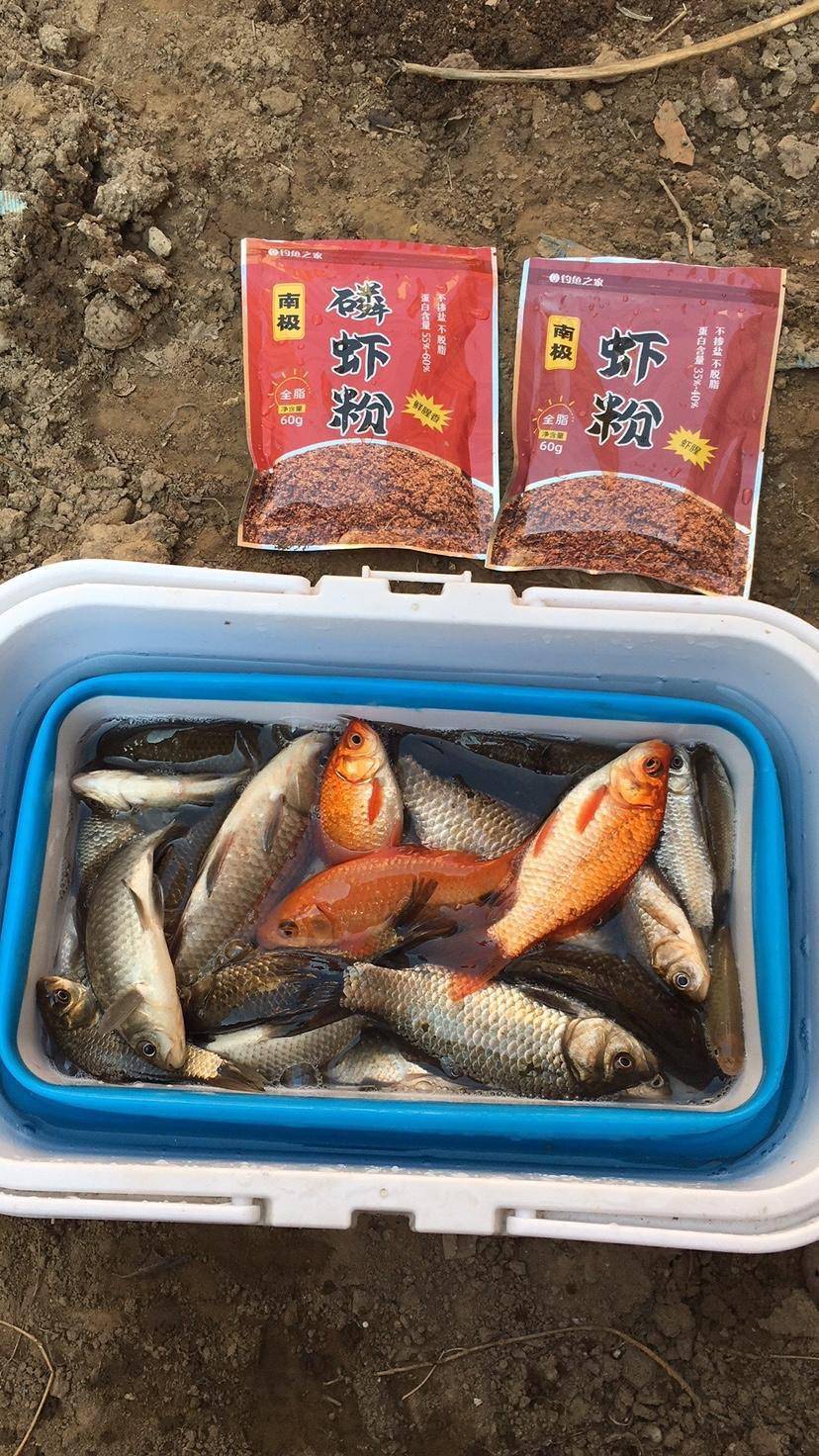 钓鱼之家饵料效果(钓鱼之家的杆子怎么样)