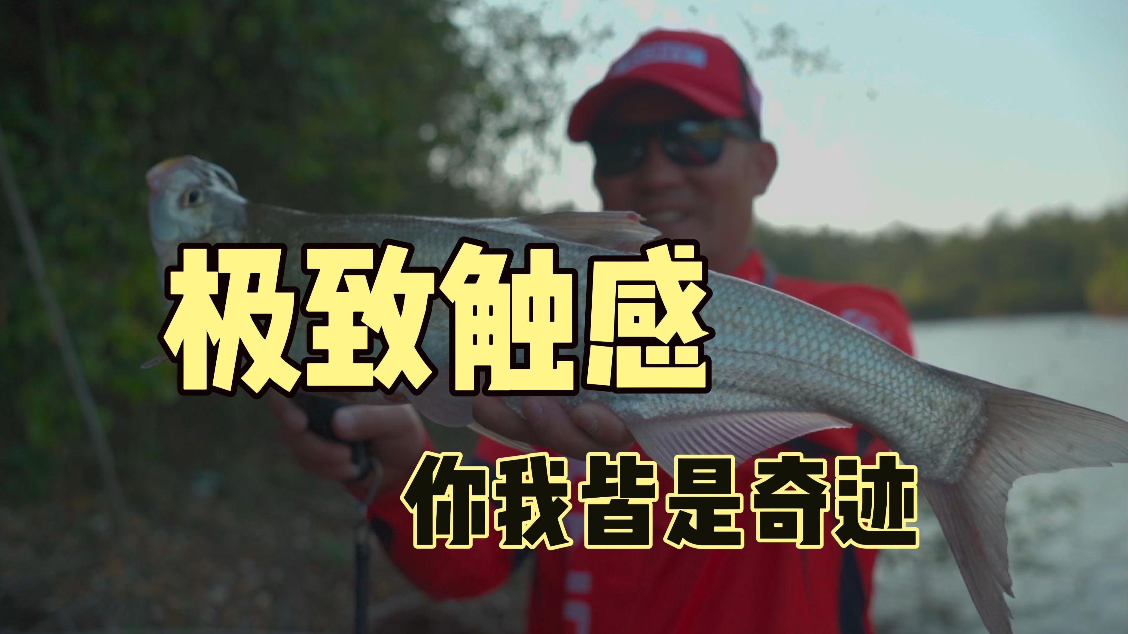 路亚最远纪录(路亚竿最远能打多远)
