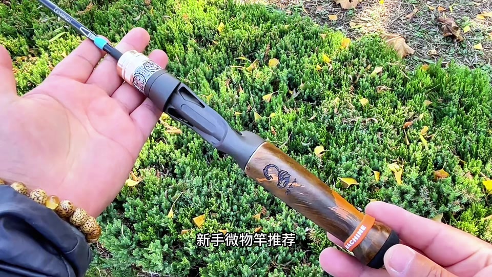 路亚杆威海(威海路亚鱼种)