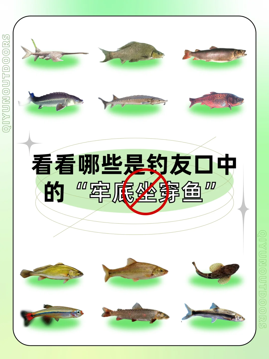 2月黄河钓鱼技巧(1961年2月2日)