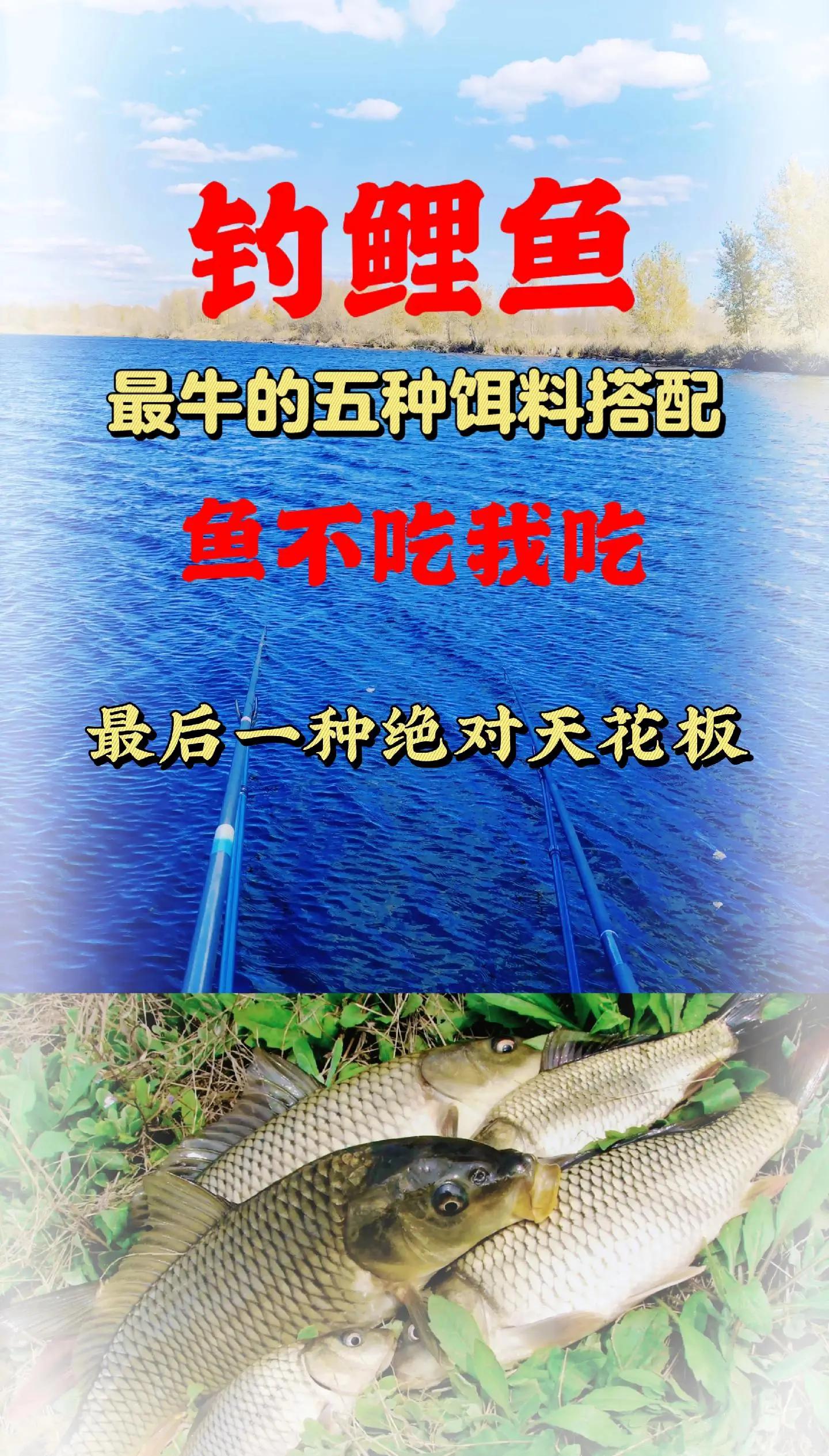 南北鲤鱼饵料配方(南北鱼饵 鲫鱼配方)