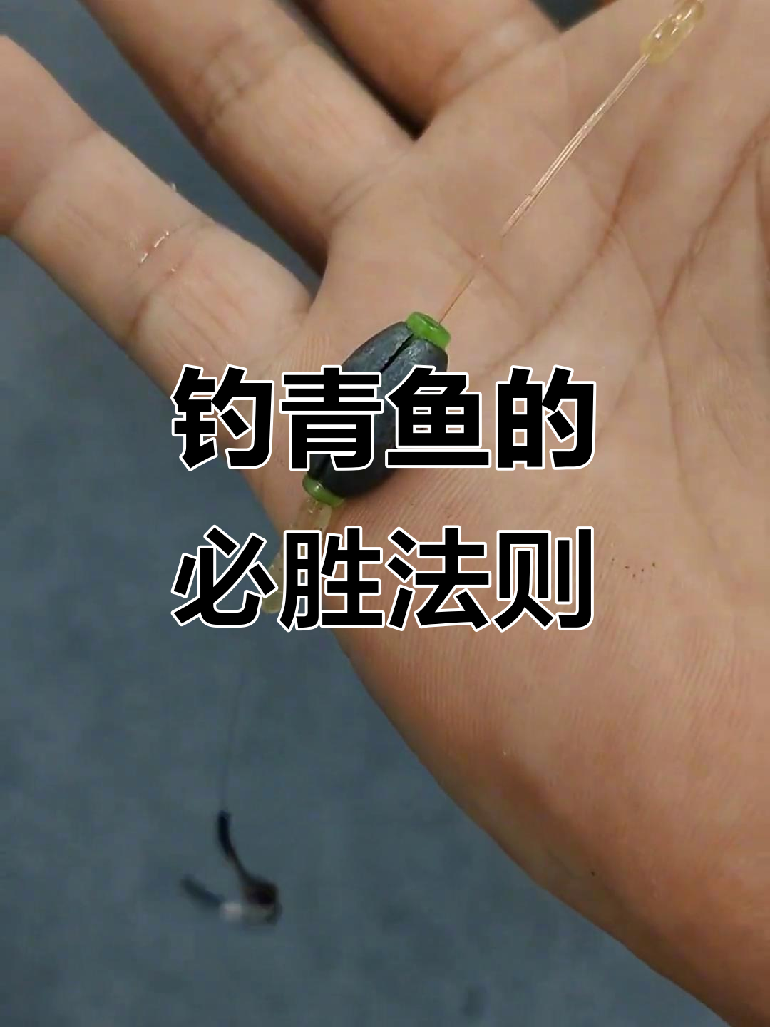 野塘钓青鱼的技巧(野塘钓青鱼的技巧图解)