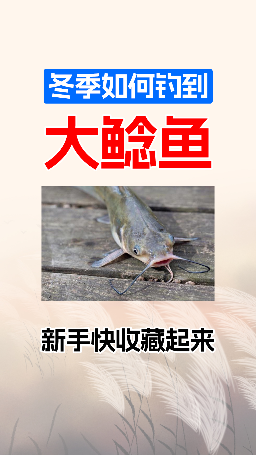 拉砣夜钓鲶鱼技巧(夜钓鲶鱼用什么鱼钩)
