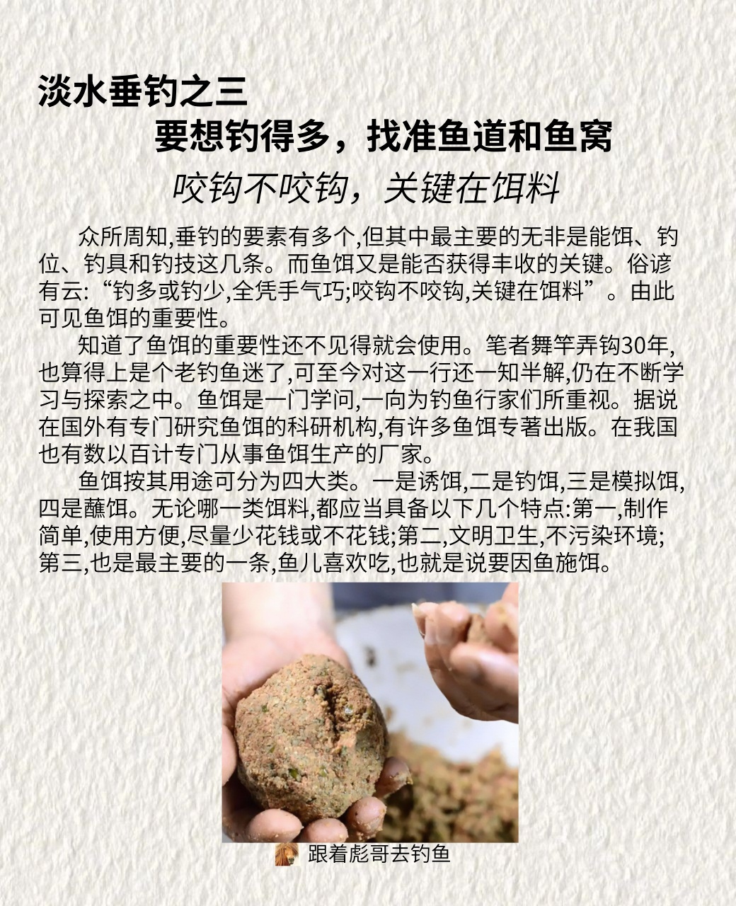 激活饵料用途(激活饵料的功能)