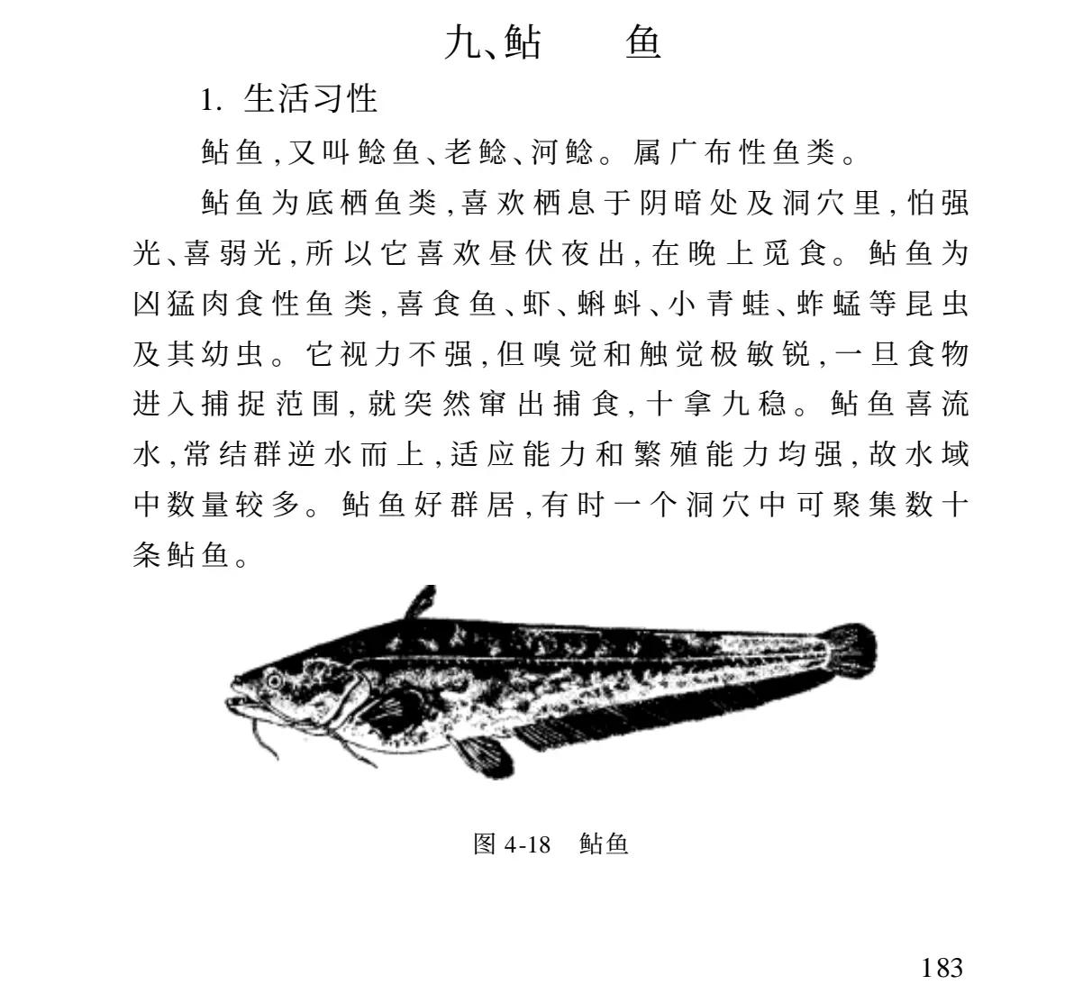 黄河钓鲶鱼技巧(黄河钓鲶鱼技巧图解)