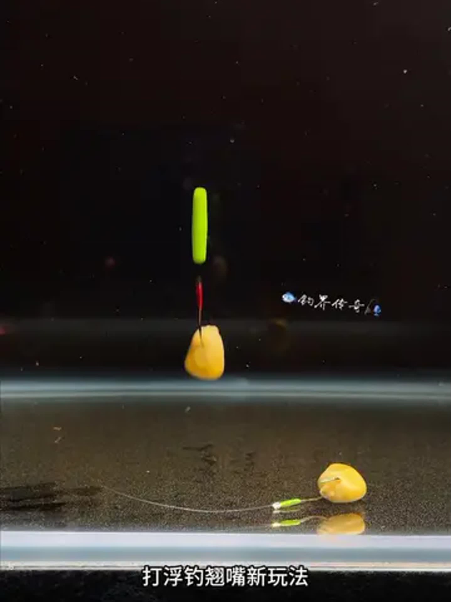 浮钓翘嘴技巧视频直播(浮漂钓翘嘴鱼的详细解法)