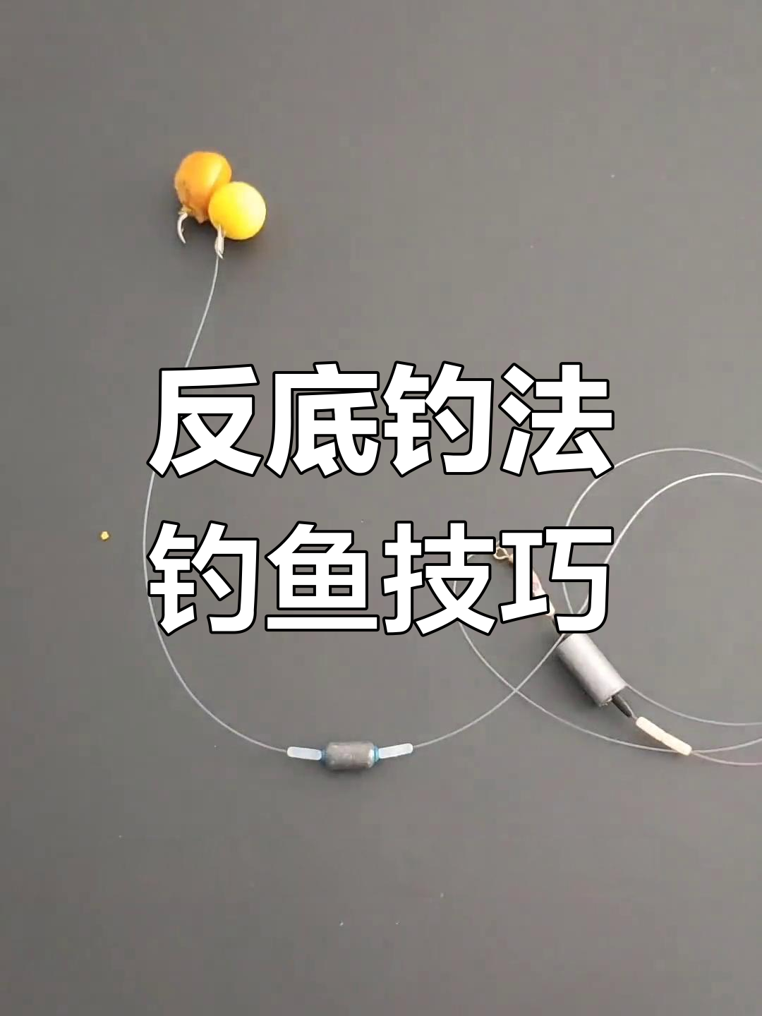 秋钓选位技巧(秋季钓鱼方位怎么选)