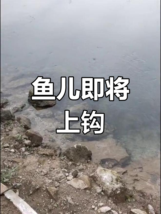 宜昌清江路亚(宜昌长江路亚店)