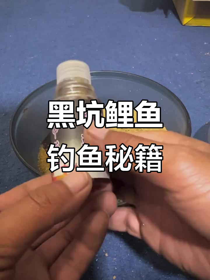 高背鲤鱼如何搭配饵料(高背鲤鱼如何搭配饵料图片)