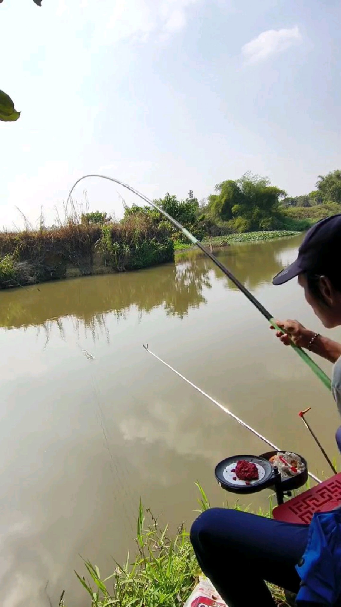 夏季钓鲫鱼技巧视频(夏季钓鲫鱼技巧视频教程)