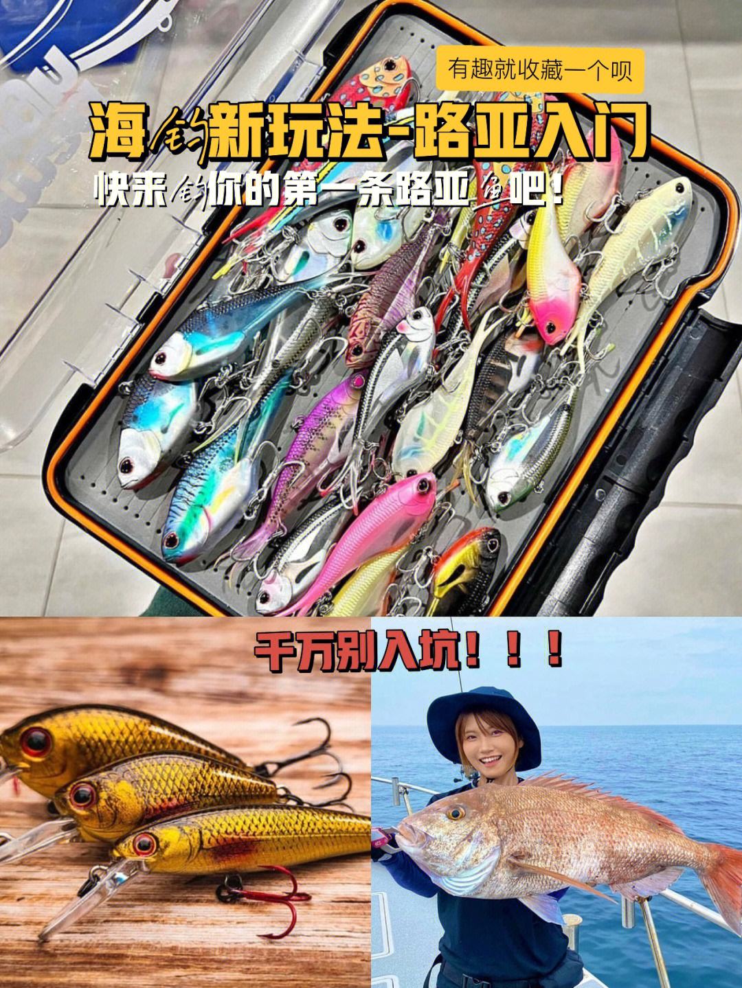 路亚海钓视屏(路亚海钓教学讲解视频教程)