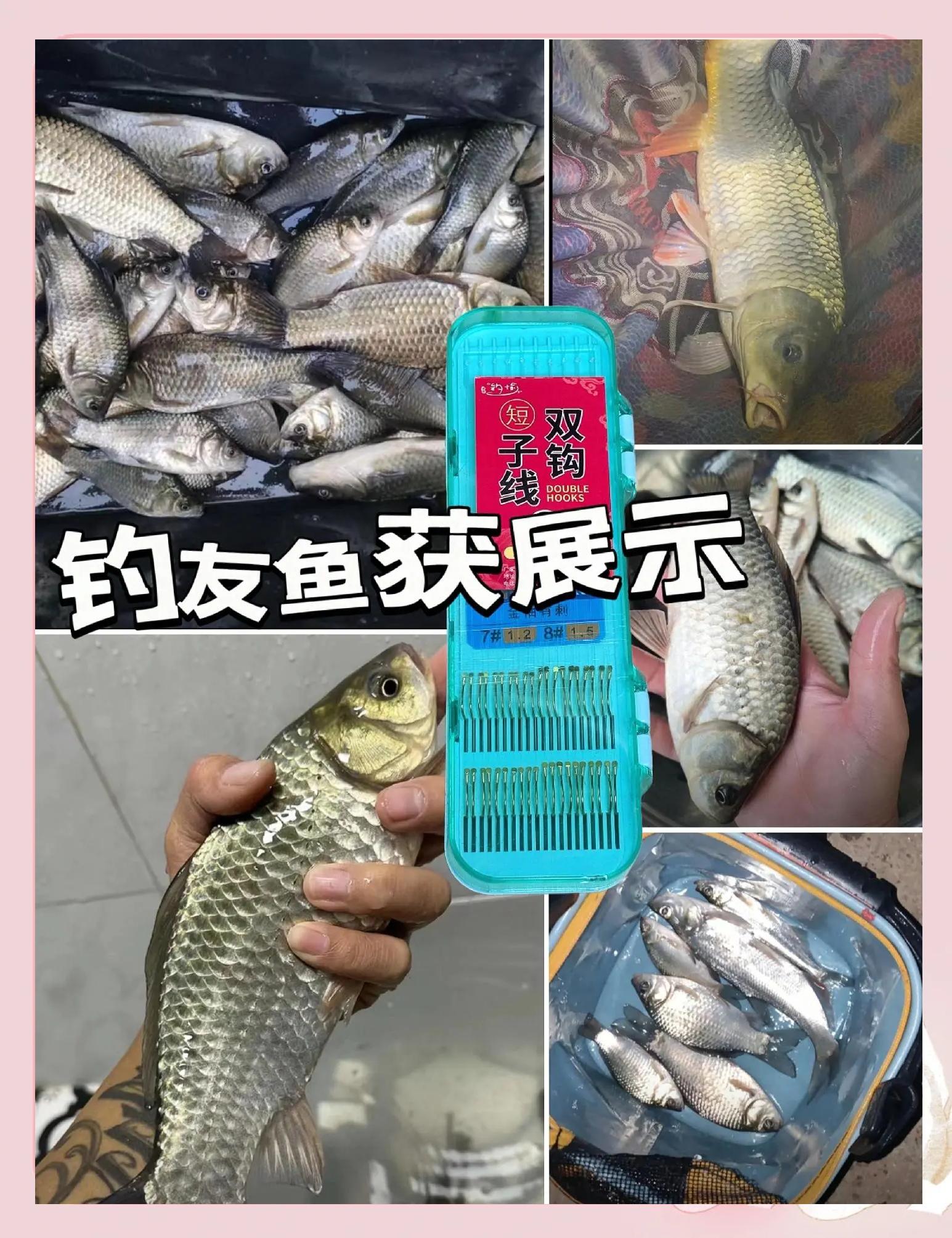 渔具大全新品(渔具大品牌都有哪些)