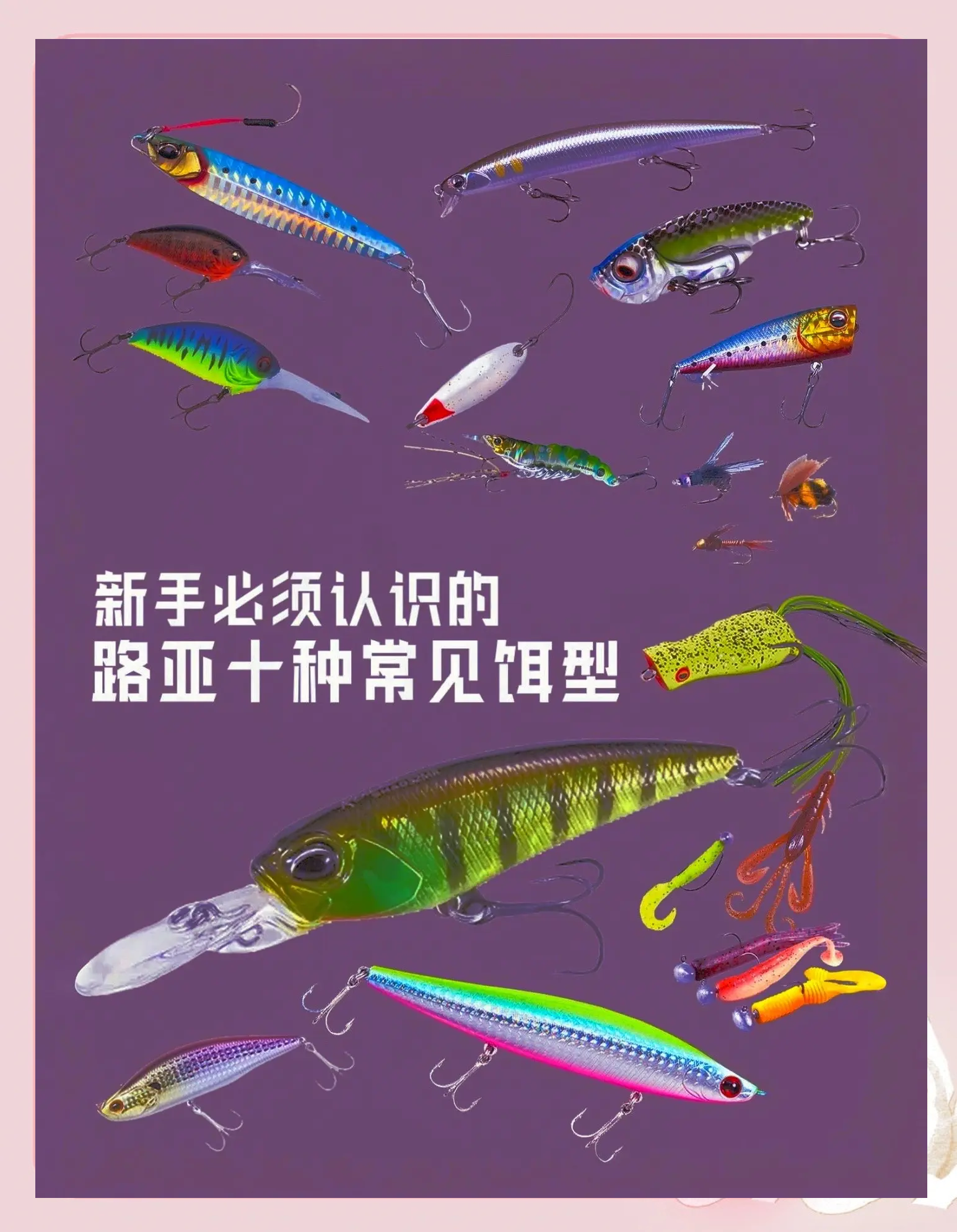 路亚饵料选择(路亚饵料选择什么牌子)