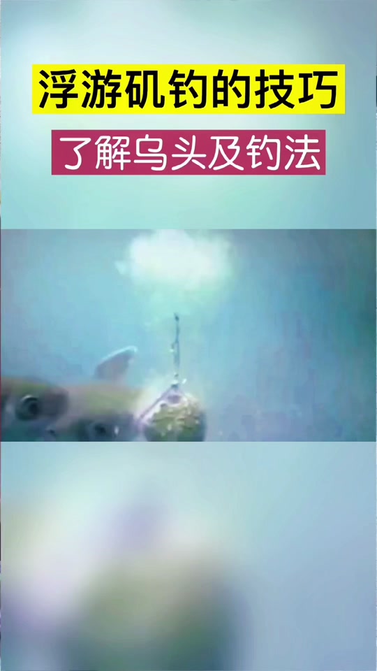 海钓乌头的绝招(海钓乌头的绝招是什么)