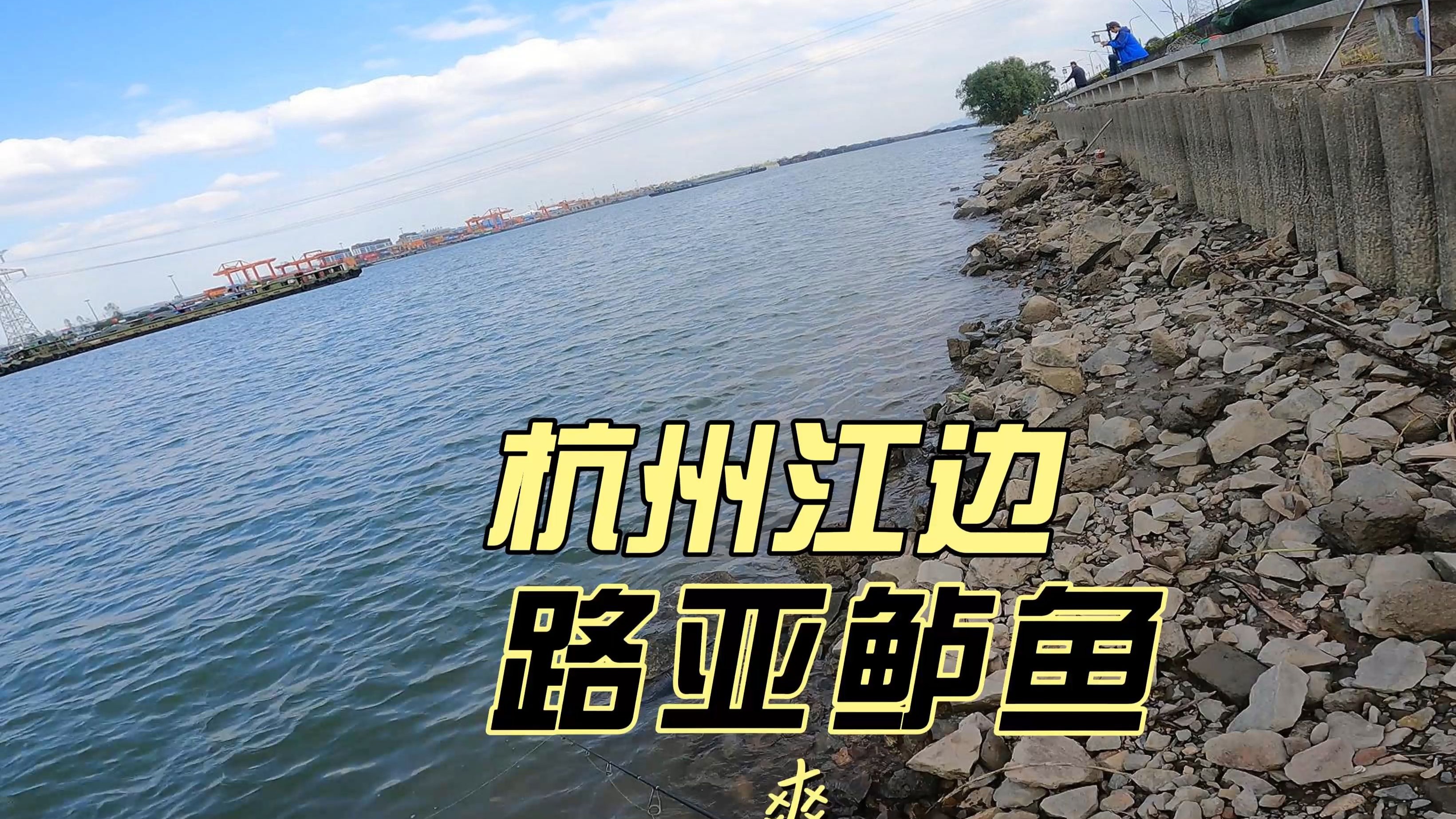 路亚鲈鱼湿地技巧(路亚水库鲈鱼)