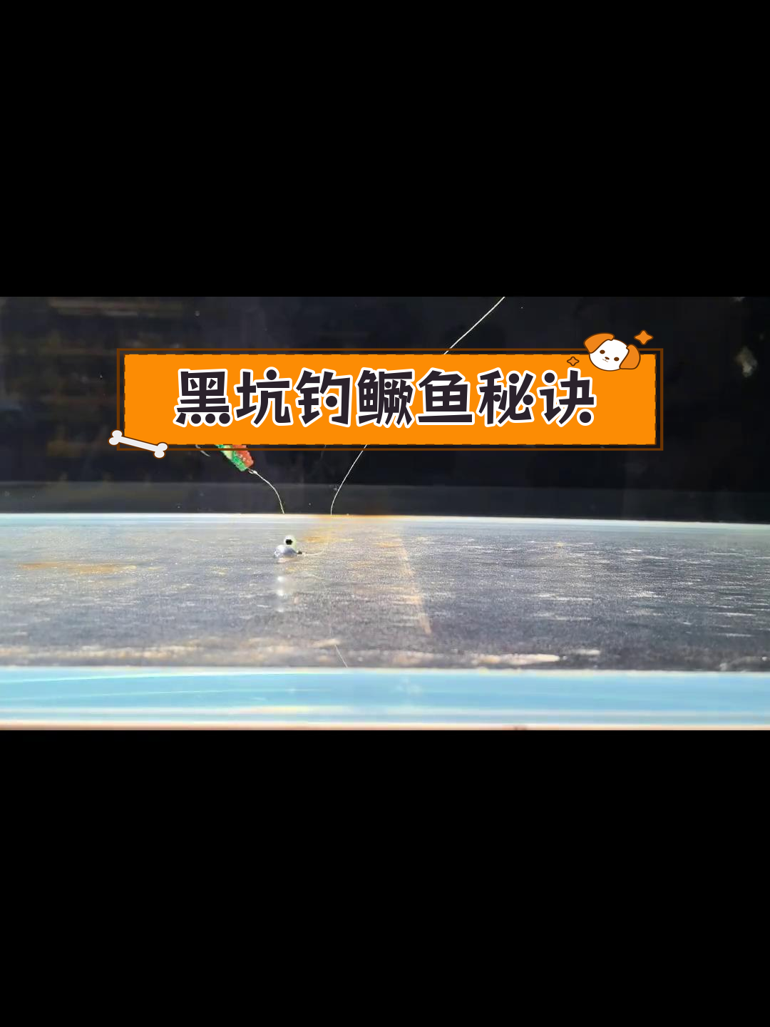 手杆钓鳜鱼技巧(手杆钓鳜鱼技巧图解)