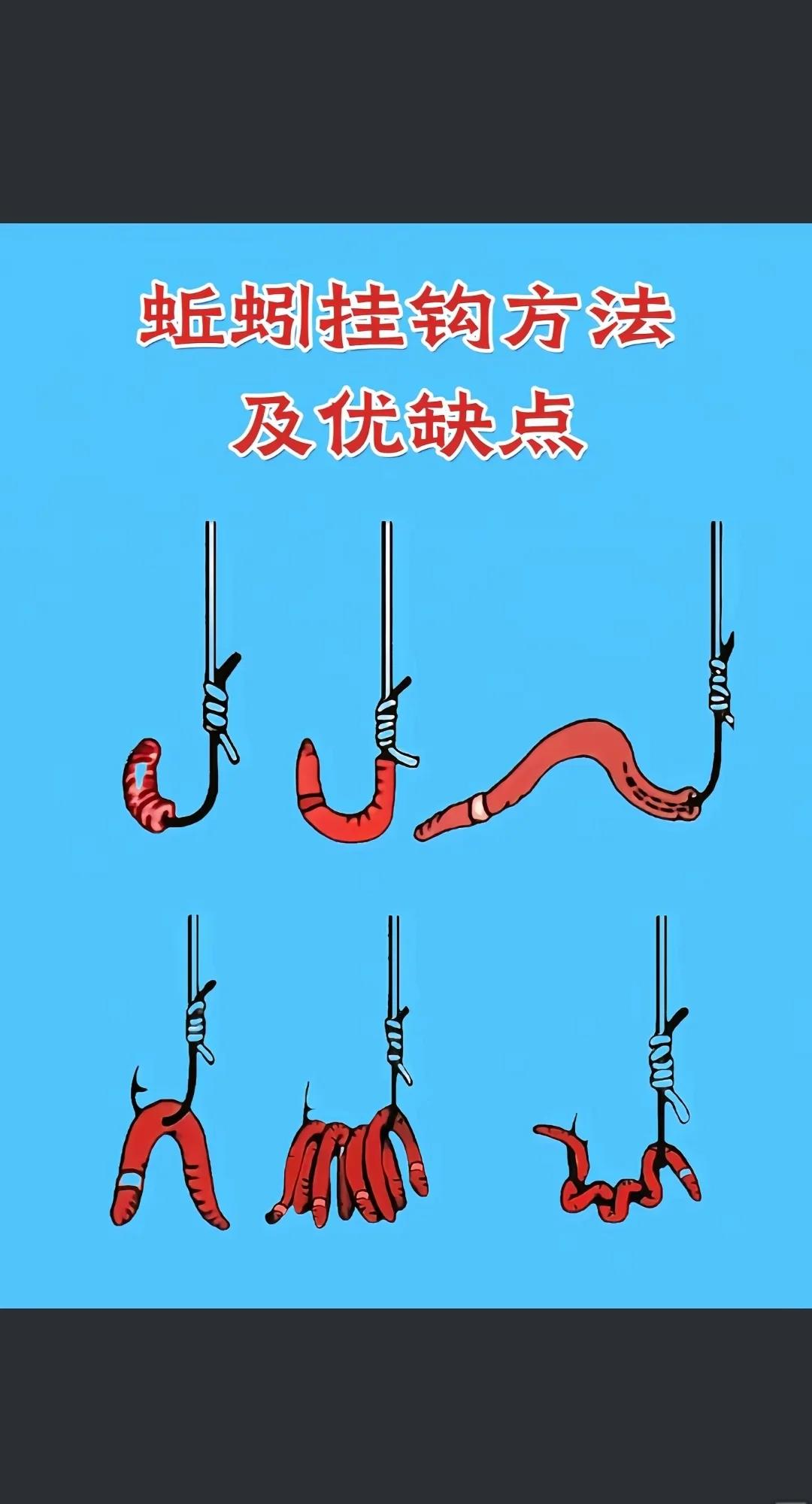 用蚯蚓夜钓技巧(用蚯蚓夜钓技巧视频)