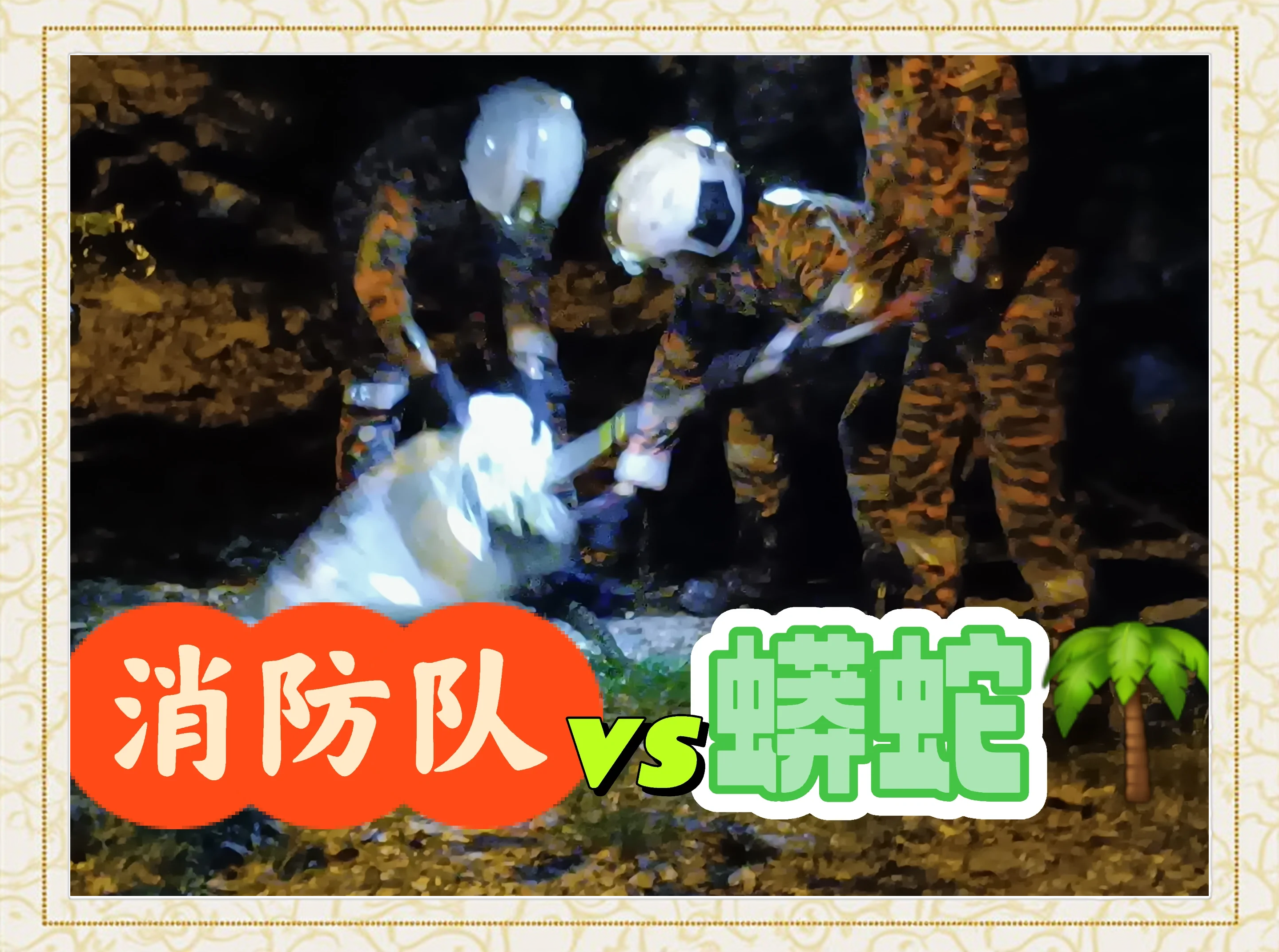 抓蛇有何技巧(抓蛇技巧视频教学)