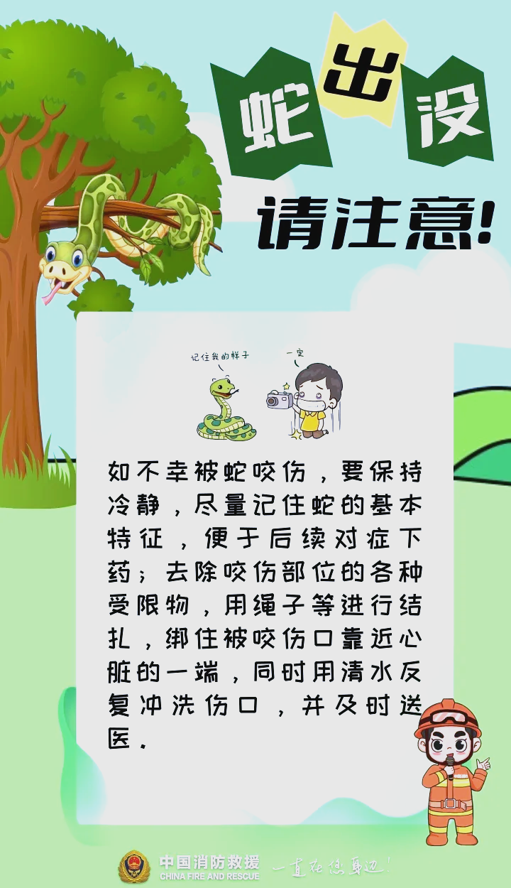 抓蛇有何技巧(抓蛇技巧视频教学)