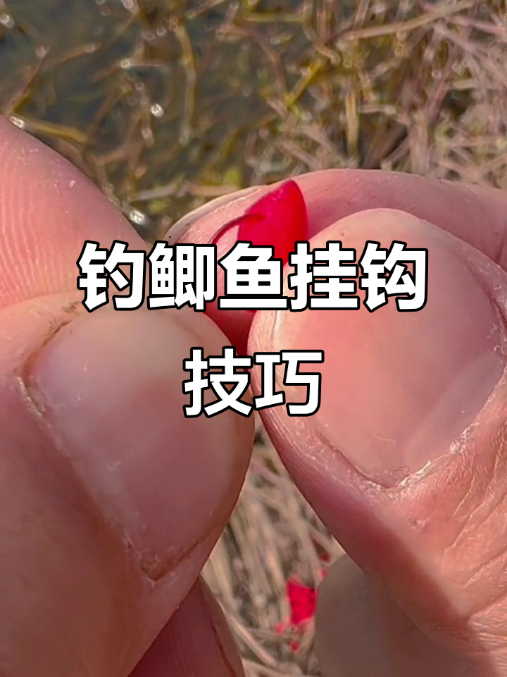 直播钓鲫鱼技巧视频(直播钓鲫鱼技巧视频大全)