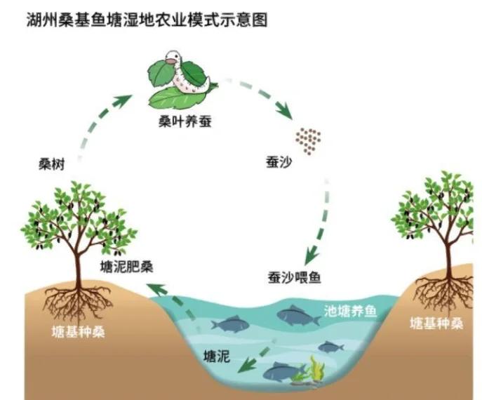 混养塘技巧(混养塘钓鱼如何调漂)