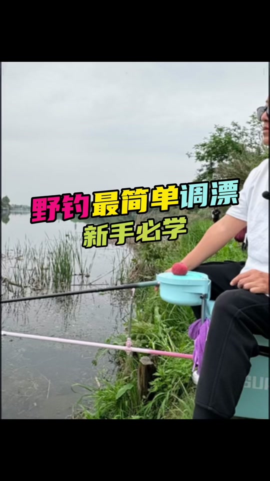 混养塘技巧(混养塘钓鱼如何调漂)