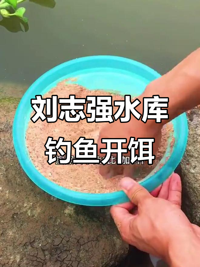 放水水库钓鱼技巧(放水水库钓鱼技巧视频)