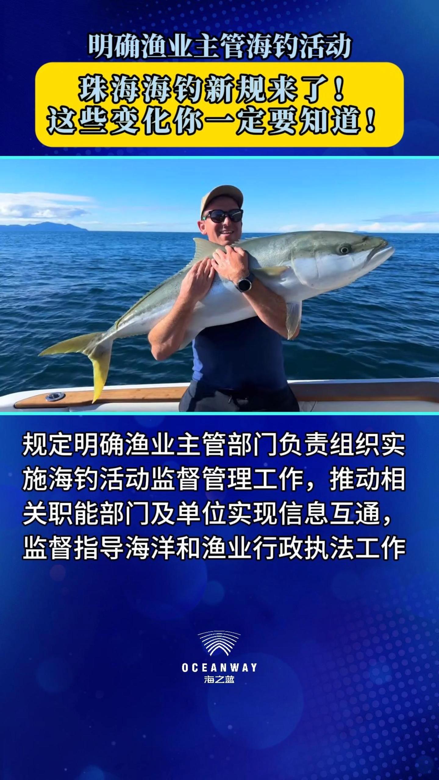 南海钓鱼现状(去南海钓鱼怎么收费)