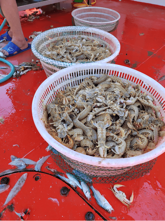 黄骅出海钓鱼坑人(黄骅出海打鱼联系电话)