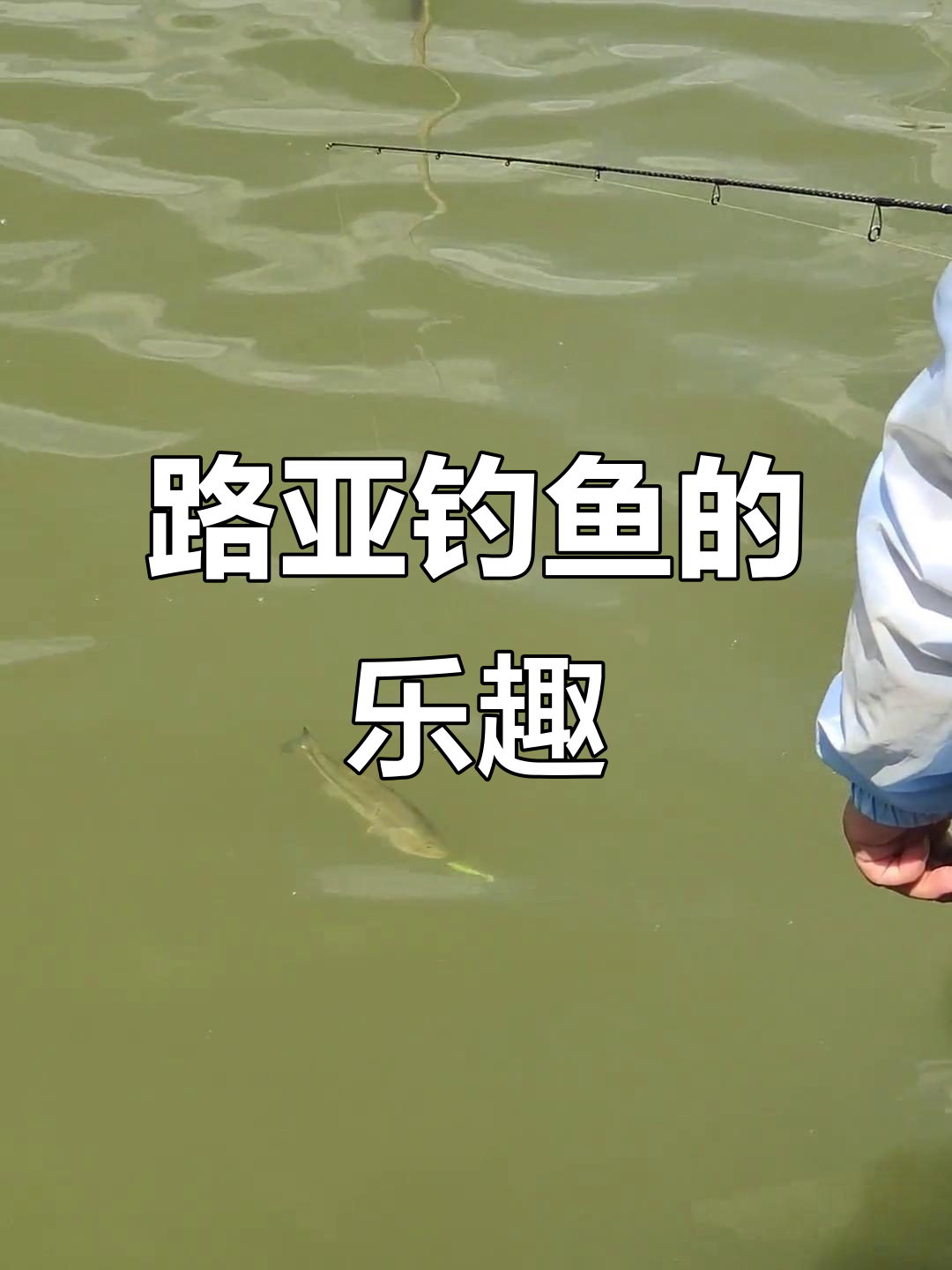 路亚在海边怎么钓鱼(海边路亚可以钓到什么鱼)