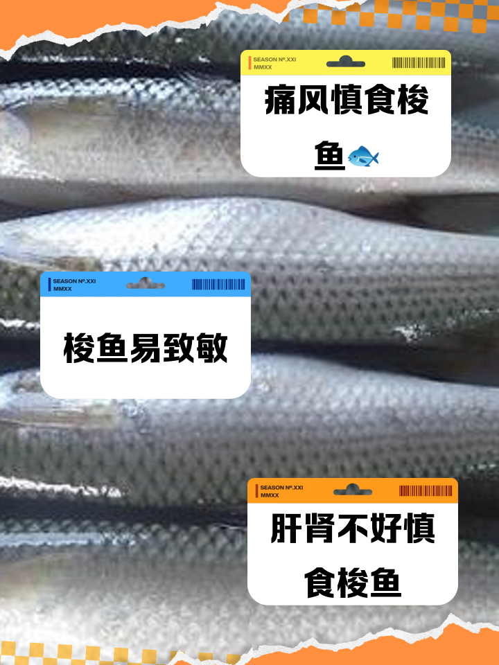 淡水梭鱼的饵料(淡水梭鱼喜欢吃什么味饵料)