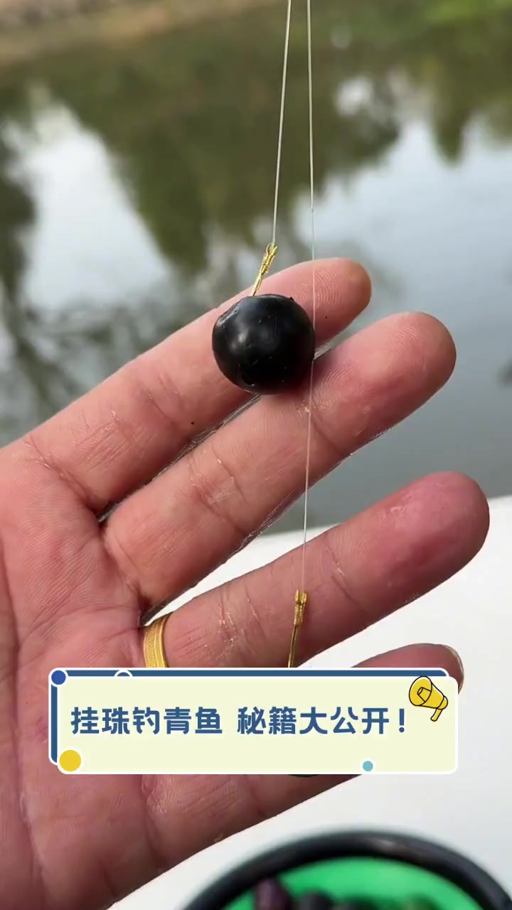 珠珠钓鲤鱼技巧(珠珠钓鲤鱼离底多少合适)