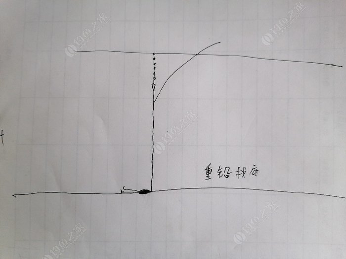 红虫钓鲤鱼抛竿技巧(红虫钓鲤鱼抛竿技巧视频)